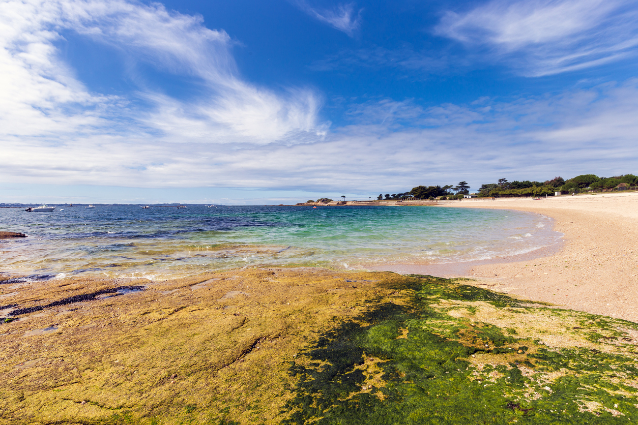 Plage dans le morbihan pur un beau séjour en bretagne